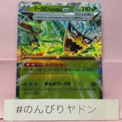 オーガポンみどりのめんex RR SV8a 1枚 pch702