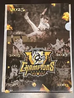 Item thumbnail for item 751d9513-c663-4ac4-b281-94cfd82f18b7