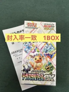 【封入率一致】テラスタルフェスex1BOX（10パック）