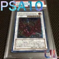 ブラック・ローズ・ドラゴン　レリーフ　PSA10 ブラックローズドラゴン psa10」の激安通販 | magi