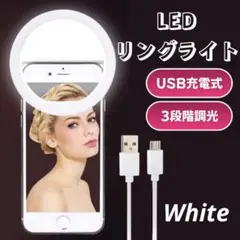 Item thumbnail for item 2000e537-45c4-4668-a9b3-c11e685bafdc