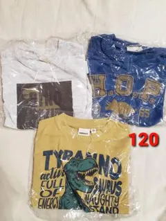 新品 120 長袖Tシャツ 長袖 キッズ 男の子 恐竜 セット ロンT