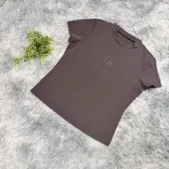 DANAPARIS ロゴ 半袖Tシャツ 7 ブラウン カジュアル 汚れありのサムネイル