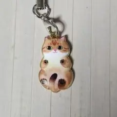 ぶら下がりねこのキーホルダー茶トラ - メルカリ