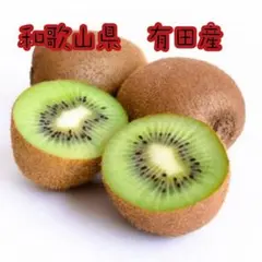 和歌山県 有田産 国産キウイフルーツ 箱込み1kg以上　農薬不使用