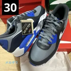 NIKE 30 エアマックス90 ゴアテックス　メルぞう