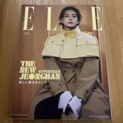 ELLE JAPON 10月号増刊 SEVENTEEN JEONGHAN