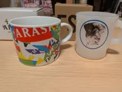 嵐 マグカップ アラフェス 2013 ハワイBLAST untitled - メルカリ