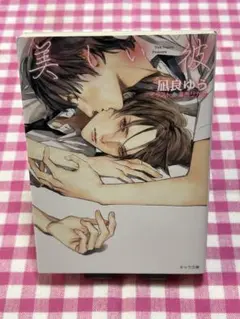 BL小説 凪良ゆう 美しい彼 キャラ文庫