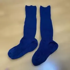 サッカー用ストッキング ブルー