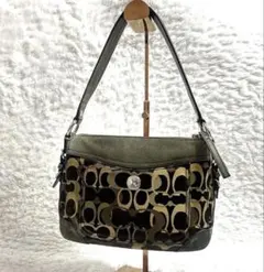 Coach Chelsea Optic Signature Hobo Bag