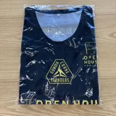 群馬クレインサンダーズ レプリカユニフォーム 39 XL