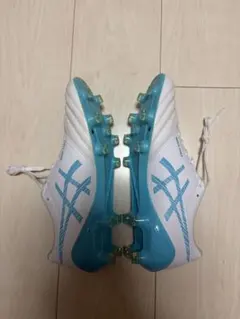 大幅値下げ】【世界限定1008足！！！】asics X Fly 4 - メルカリ