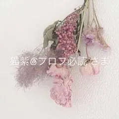 猫紫@プロフ必読さま専用出品