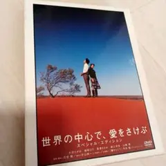 世界の中心で、愛をさけぶ スペシャル・エディション DVD - メルカリ