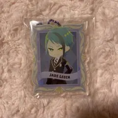 ツイステッドワンダーランド ジェイドリーチ アクキー アクリルキーホルダー