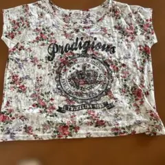 Item thumbnail for item 92b371fc-a6ac-4153-9a14-6e415e11579a