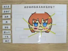 ＜療育グッズ＞　顔の部位と言葉のマッチング