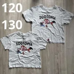 【ズートピア】120 130 しまむら　キッズ　Tシャツ　半袖　ディズニーのサムネイル