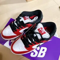 NIKE SB DUNK LOW PRO J-Pack Chicago