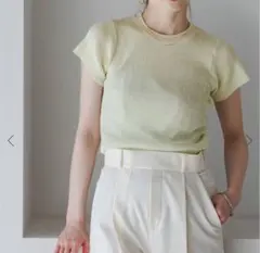 NOBLE ショートスリーブコンパクトリブニット Tシャツ グレー - メルカリ