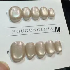 【セツ】マグネット　ネイルチップ　付け爪(A1305)