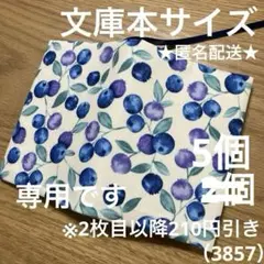 専用　ハンドメイド　ブックカバー　文庫本サイズ　3857