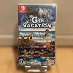Nintendo Switch GO VACATION ソフト 動作確認済み