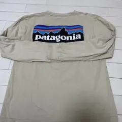 Patagonia オーガニックコットン Tシャツ S
