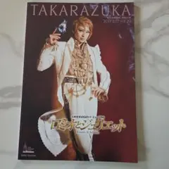 宝塚歌劇団 雪組公演 音月桂 ロミオとジュリエット パンフレット 2011年