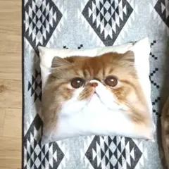 Item thumbnail for item 9d7cc519-469a-4e99-a526-a6c2b23c6fd4