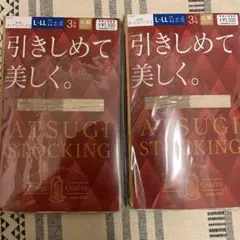 Atsugi ストッキング L-LL 3足セットx2