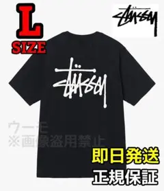 ステューシー BASIC ベーシック Tシャツ 半袖 ブラック Lのサムネイル