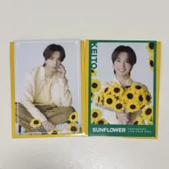 木村慧人 フォトカード シクレ