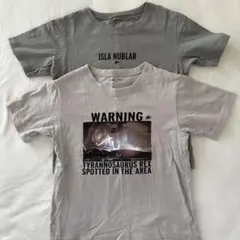GLOBAL WORK キッズTシャツ 130 2枚セット　ジュラシックワールド