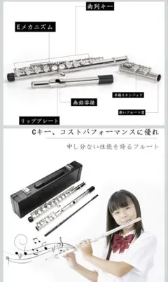 Item thumbnail for item dbeba927-1803-4f1f-9ee6-2f3ca28c42c4