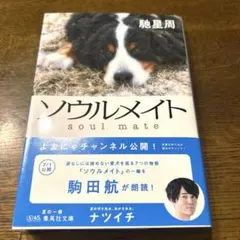 ソウルメイト 馳星周