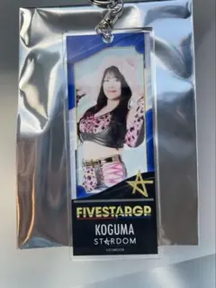 新商品】 コグマ スターダム STARDOM チケット風アクリルキーホルダー