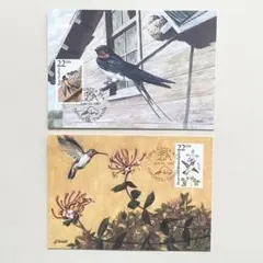 aki様 リクエスト 3点 まとめ商品