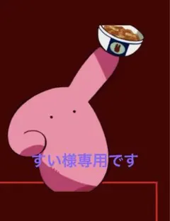 すい様•*¨*•専用