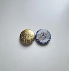 三代目 J Soul Brothers 登坂広臣 缶バッチセット