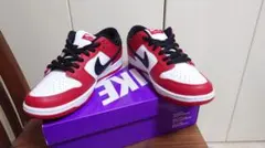 Nike SB Dunk Low Pro 