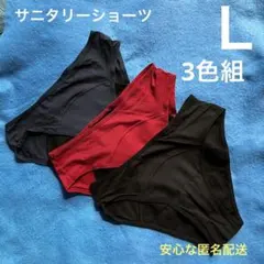 サニタリーショーツ 3枚組 Ｌサイズ