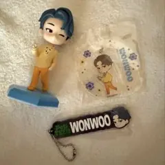 SEVENTEEN ウォヌ　フィギュア　キーホルダー