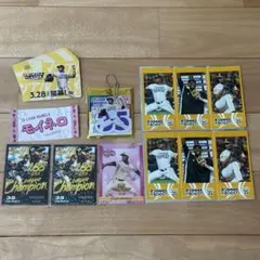 リバン・モイネロ グッズセット