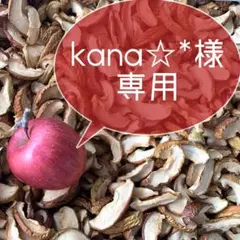 kana☆*様専用ページ✩︎⡱②