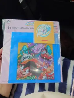 Item thumbnail for item e87033e8-d51a-45af-9766-27ba06e03f3b