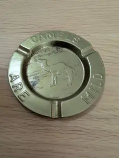 Item thumbnail for item cfb93e4d-4229-47c8-86c5-0b5411c3e5ce