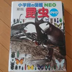 小学生の図鑑 NEO 昆虫 DVD付き