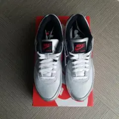 【未使用】NIKE AIR MAX 90 PHOTON DUST
